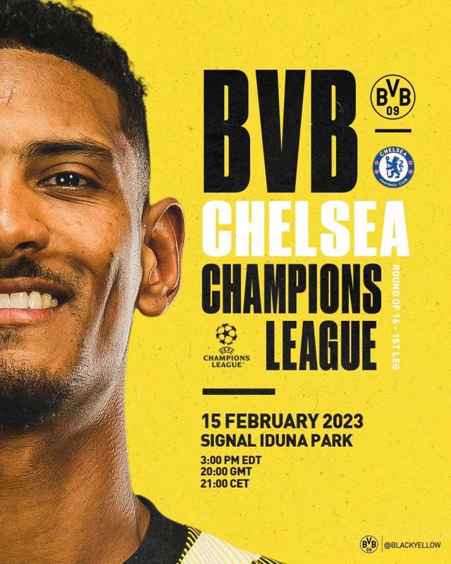 最瞩目的莫 最瞩目的莫